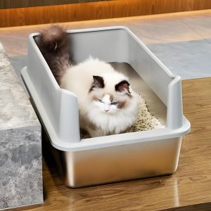Rectangle Cat Litter Box with Polypropylene for Easy Care